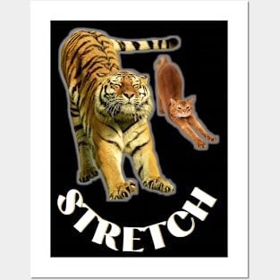 Stretch exercise by a tiger and a cat - white text Posters and Art